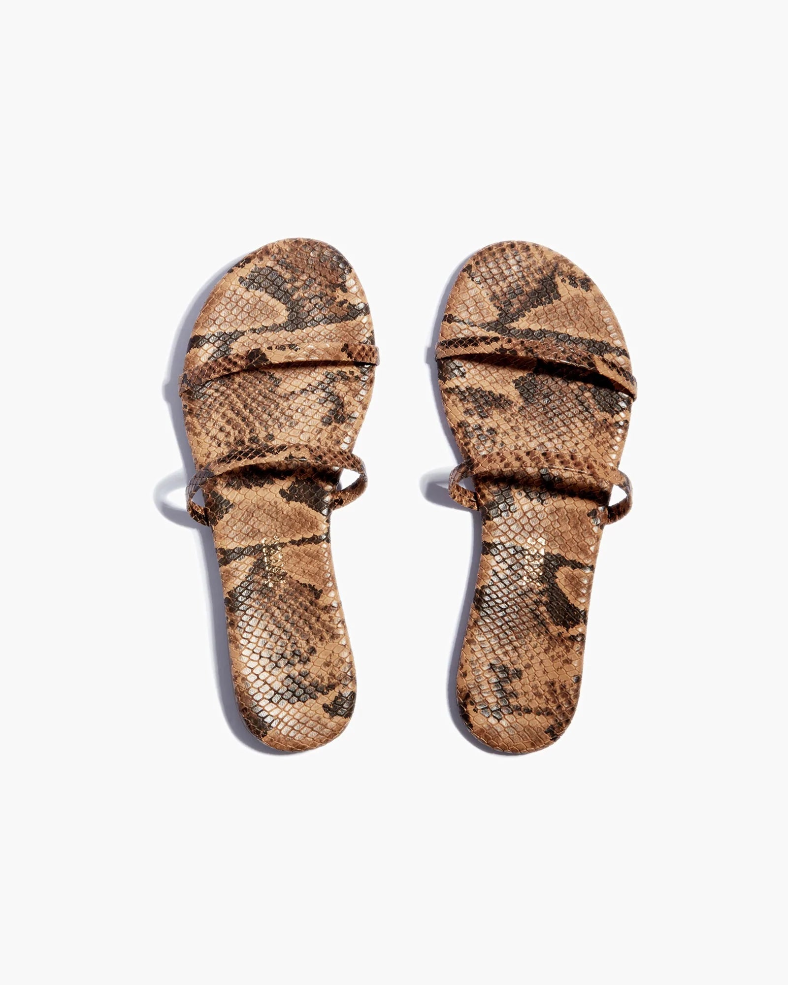 Snake Women's TKEES Gemma Vegan Animal Sandals | 6179482-BZ